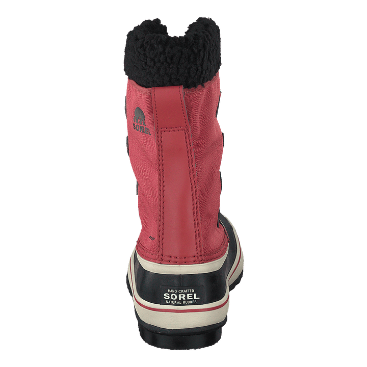 Winter Carnival Wp Rose Dust, Black