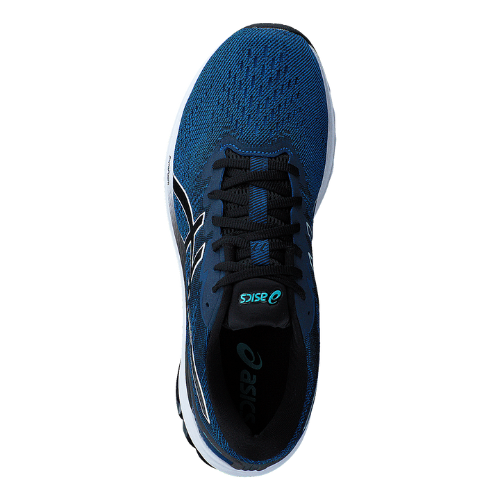 Gt-1000 11 Lake Drive/black