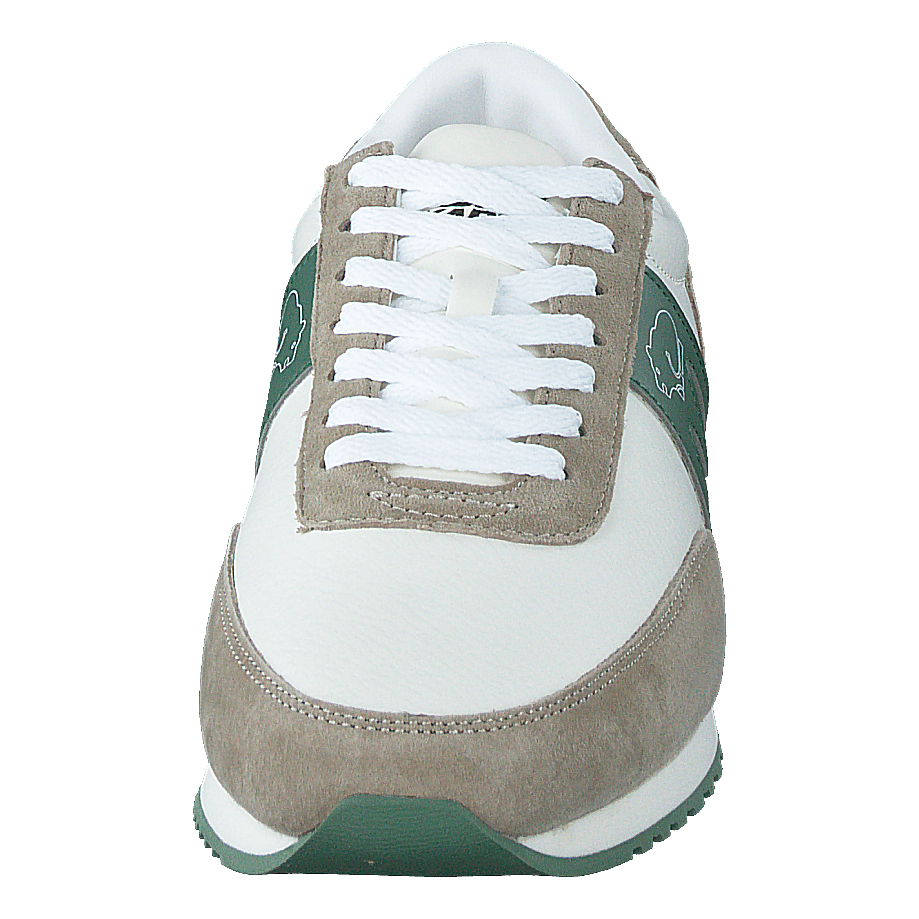 Albatross Spray Green / Dark Ivy