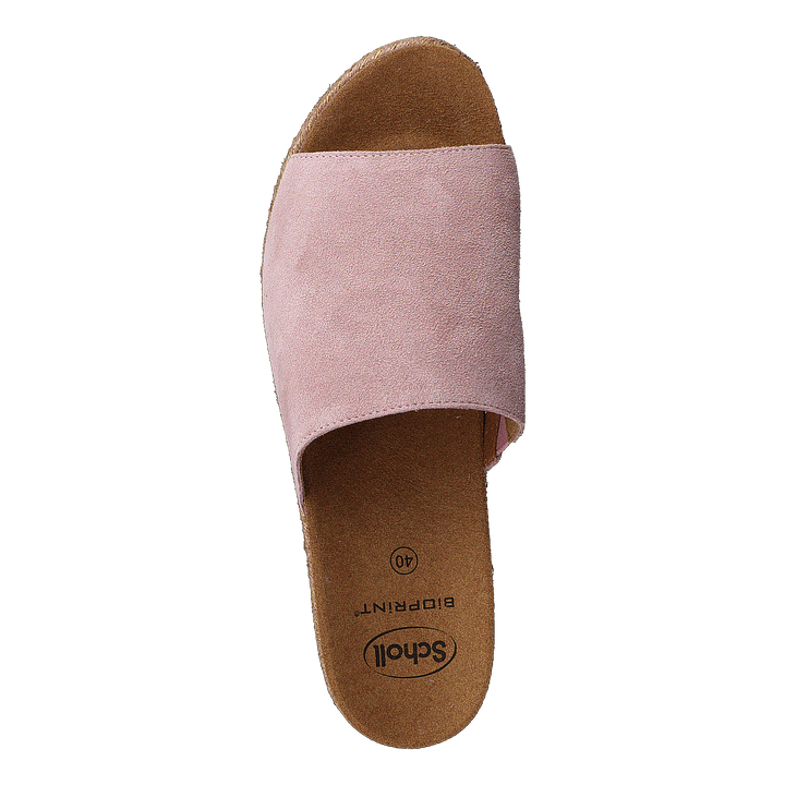 Malaga Pink