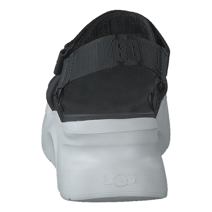 W La Shores Black