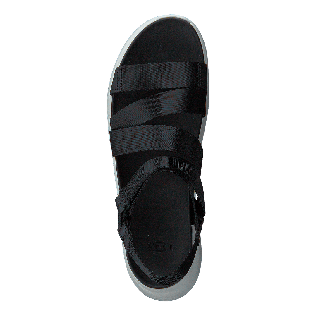 W La Shores Black