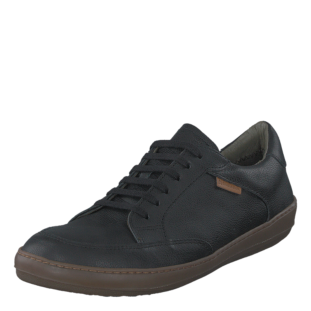 Meteo Black