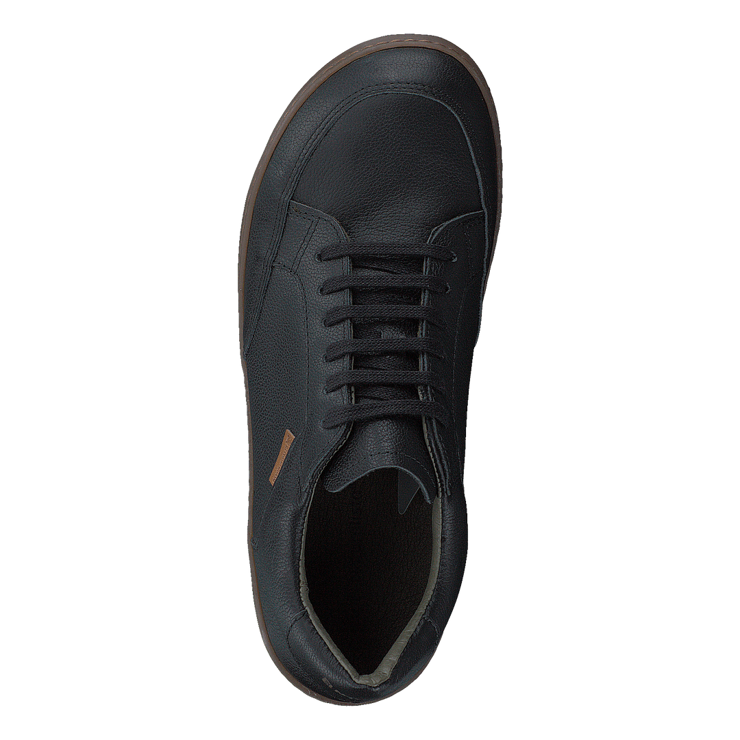 Meteo Black