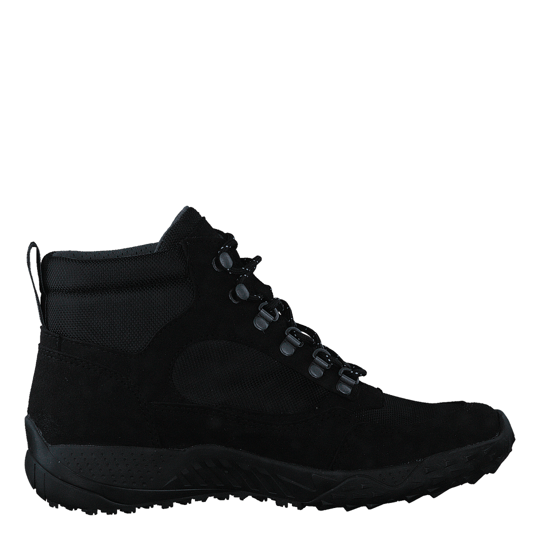 Gorbea Black