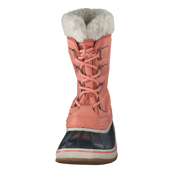 Winter Carnival Wp Paradox Pink, Abyss