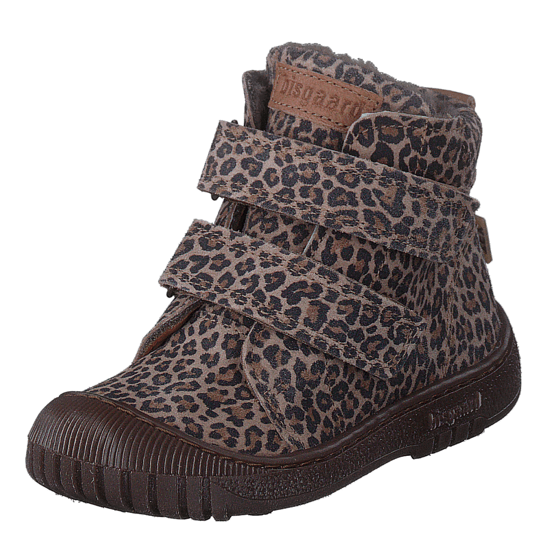 Bisgaard Evon Leopard
