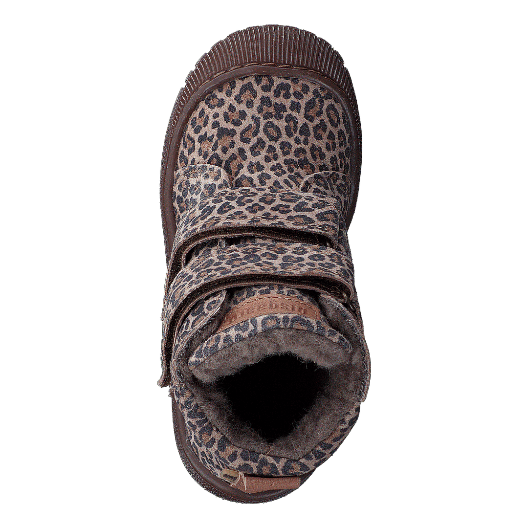Bisgaard Evon Leopard