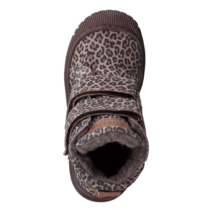 Bisgaard Evon Leopard