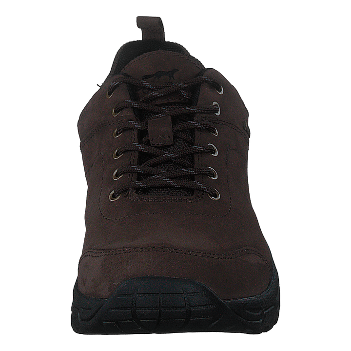 Siccs Gmunden Gtx Brown