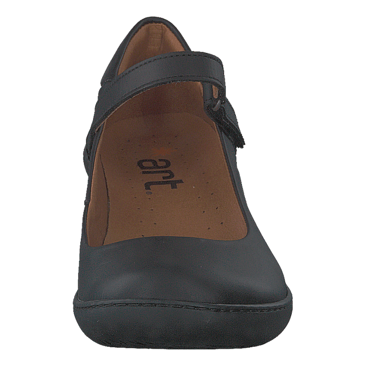 Alfarma Black