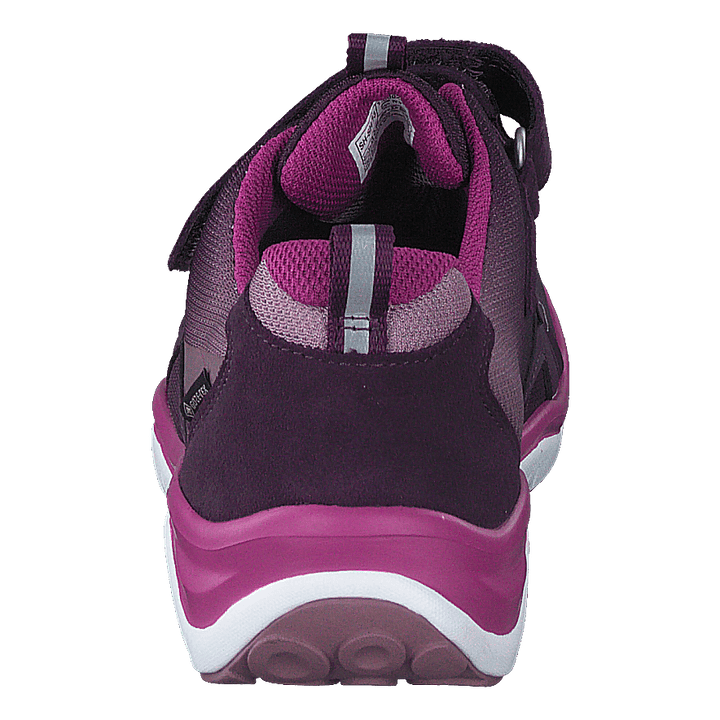 Sport5 GTX Low Purple