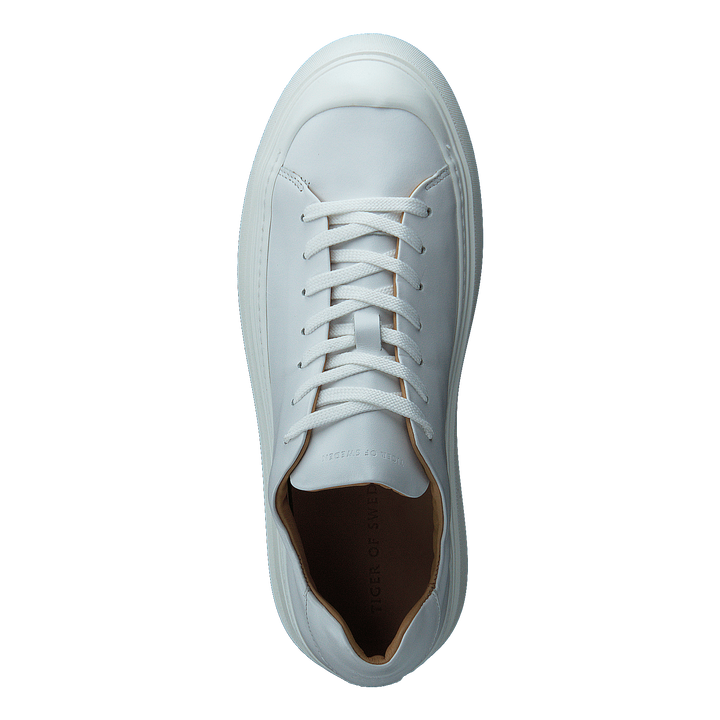 Stam White