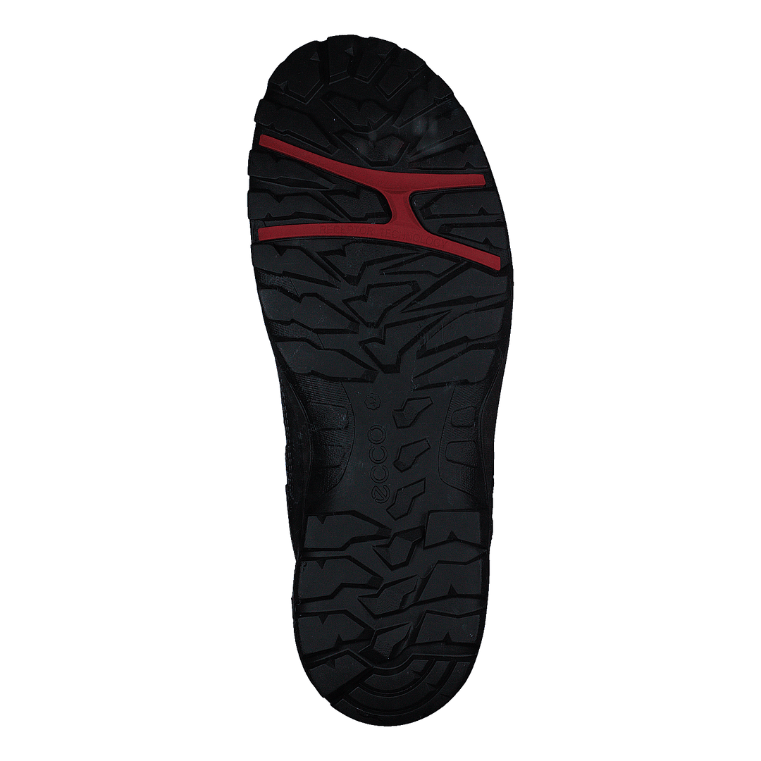 Ecco Xpedition Iii M Black/black