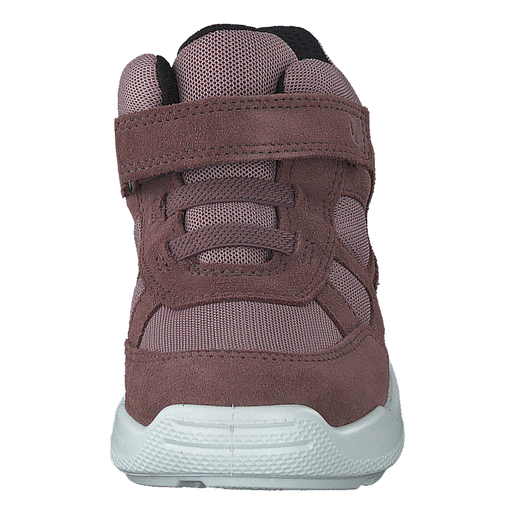Ecco Urban Mini Dusty Purple/woodrose