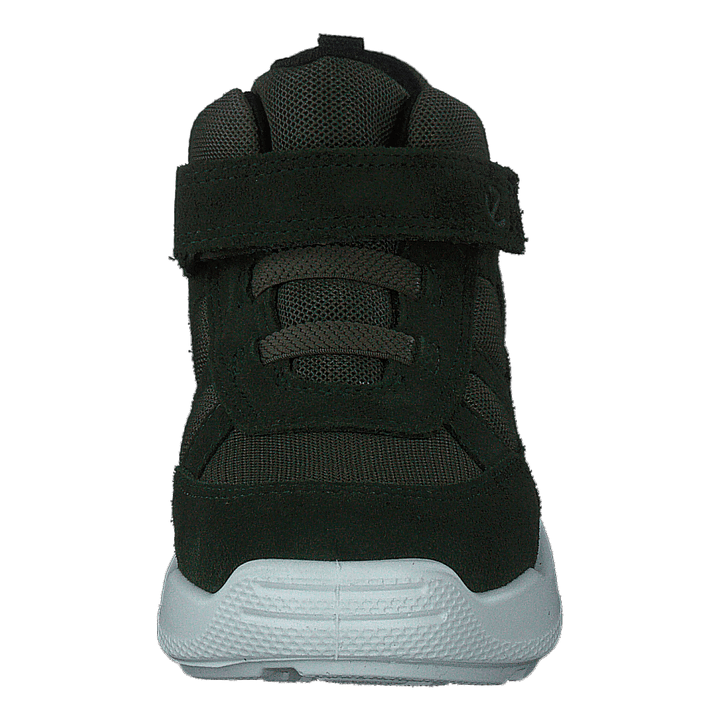 Ecco Urban Mini Deep Forrest /grape Leaf