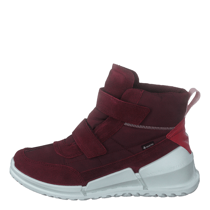 Ecco Biom K Morillo/morillo/chili Red