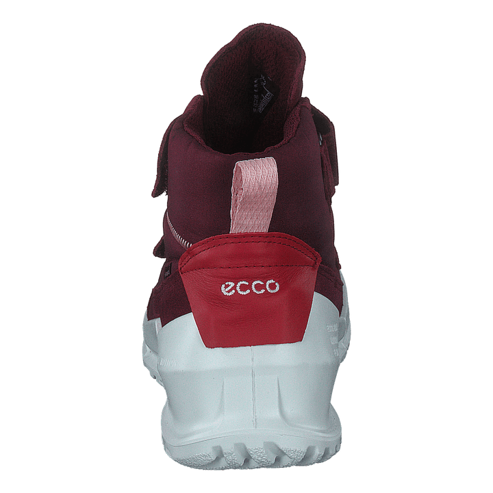 Ecco Biom K Morillo/morillo/chili Red