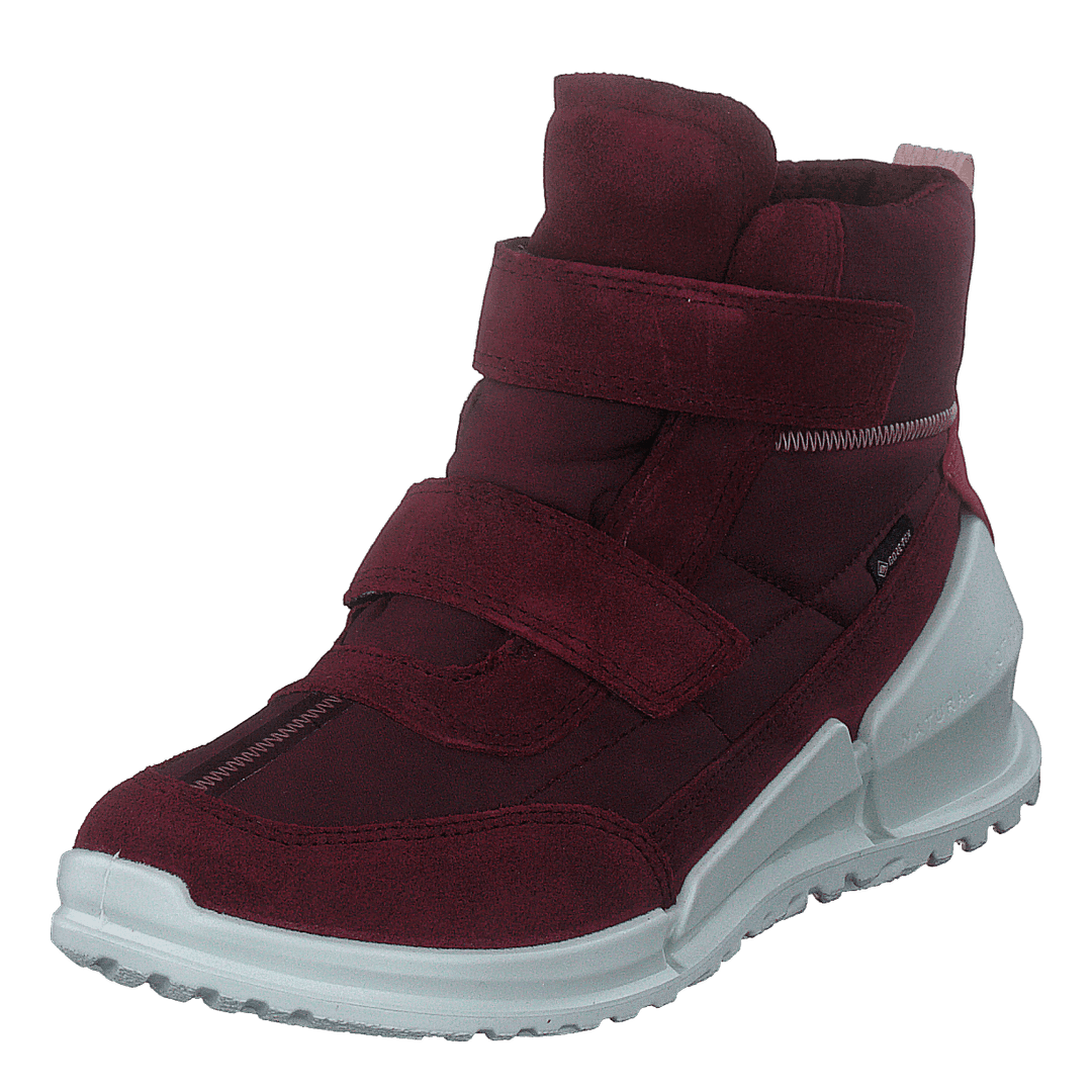 Ecco Biom K Morillo/morillo/chili Red