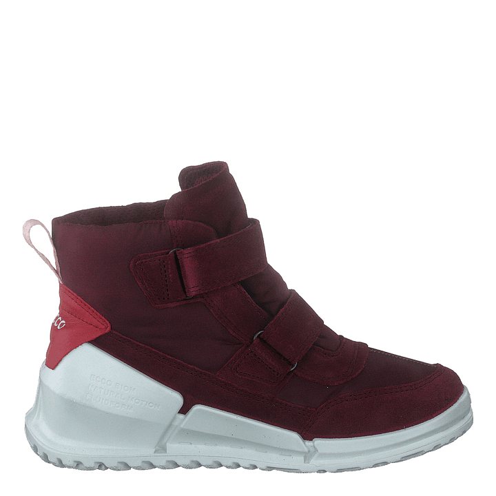 Ecco Biom K Morillo/morillo/chili Red