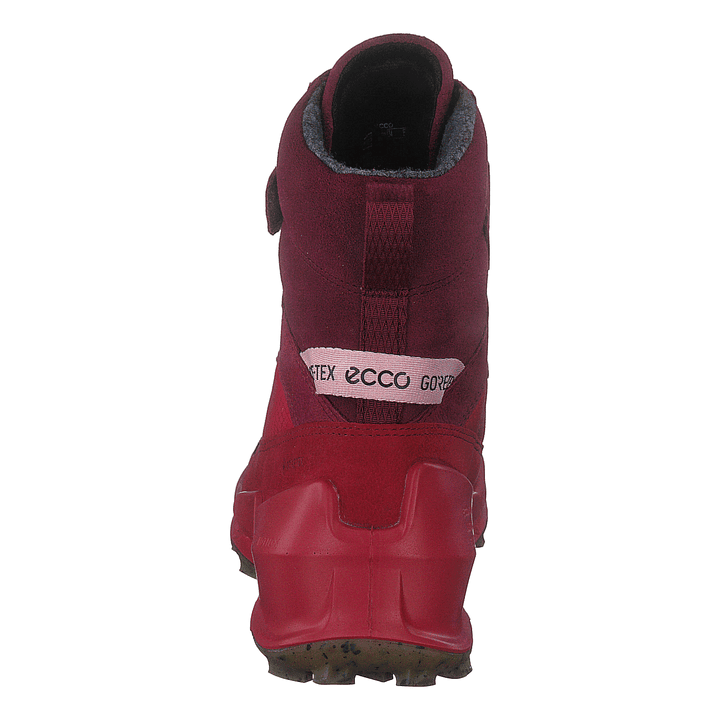 Ecco Biom K2 Multicolor Chili Red Morillo