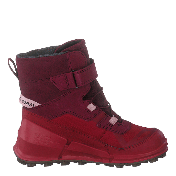 Ecco Biom K2 Multicolor Chili Red Morillo