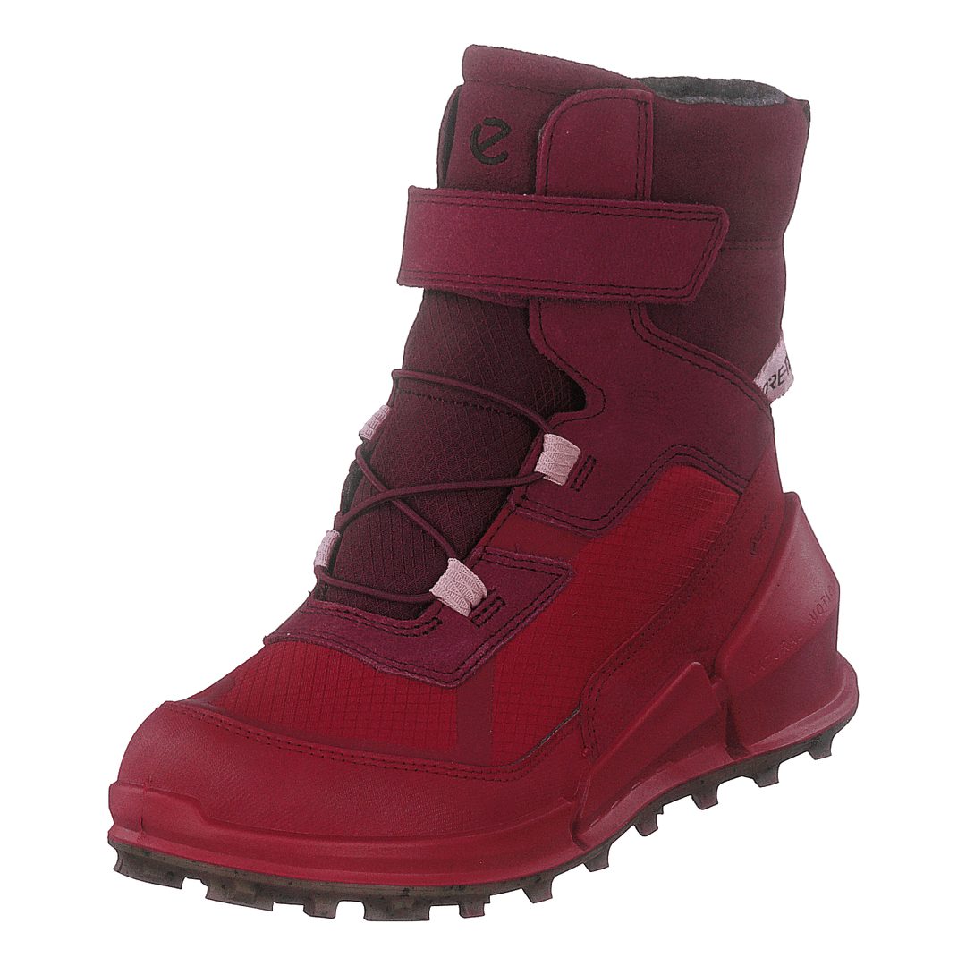 Ecco Biom K2 Multicolor Chili Red Morillo
