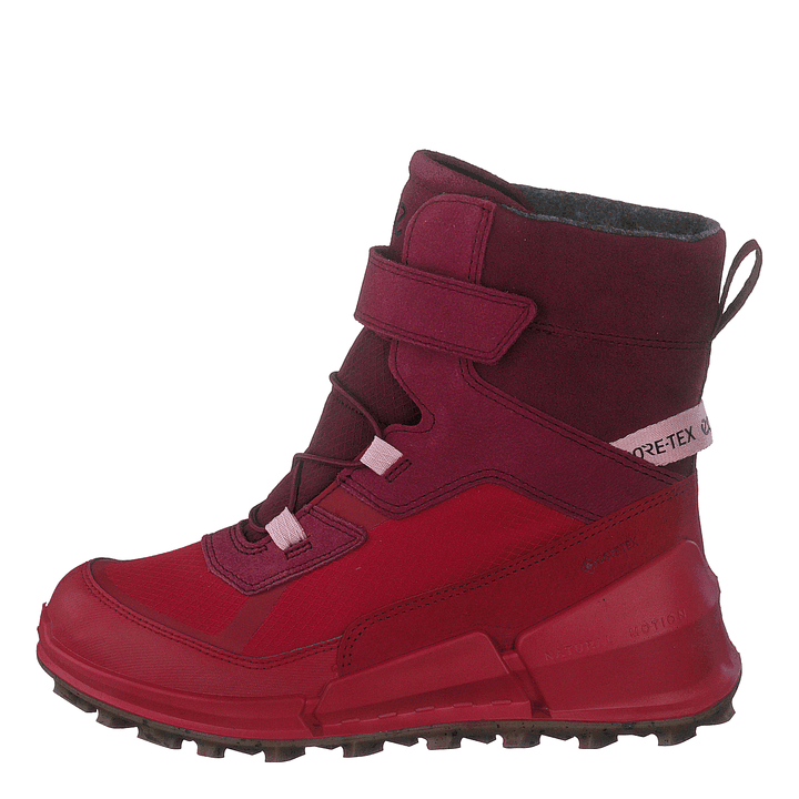 Ecco Biom K2 Multicolor Chili Red Morillo
