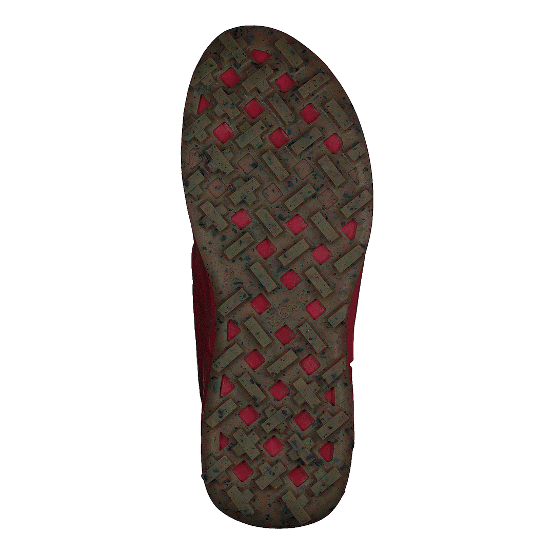 Ecco Biom K2 Multicolor Chili Red Morillo