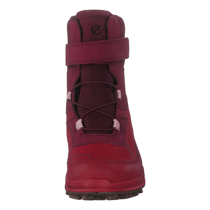 Ecco Biom K2 Multicolor Chili Red Morillo