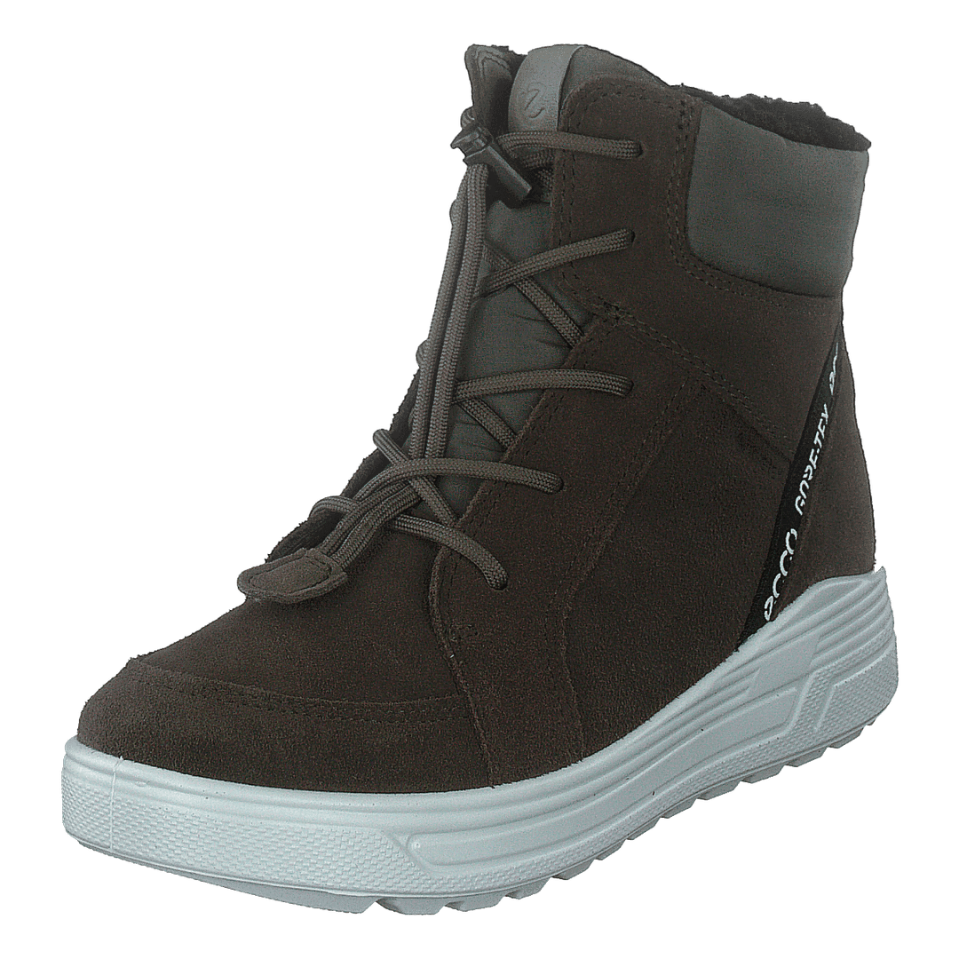 Ecco Urban Snowboarder Tarmac/tarmac