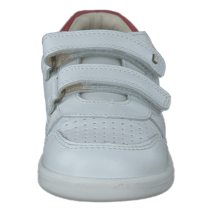 Riley White + Red