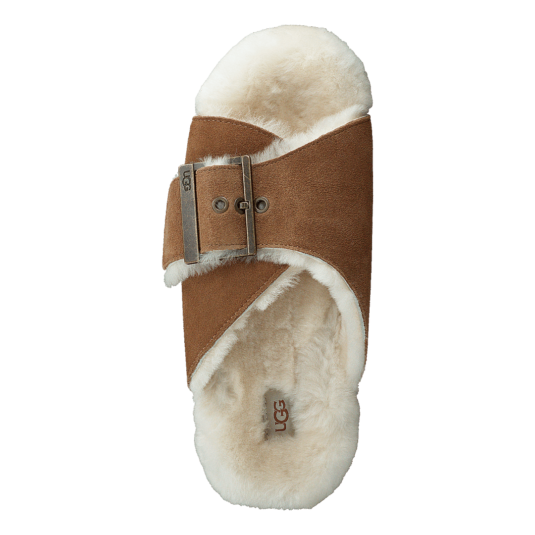 W Outslide Buckle Chestnut Suede - Heppo.com