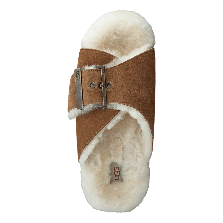 W Outslide Buckle Chestnut Suede - Heppo.com