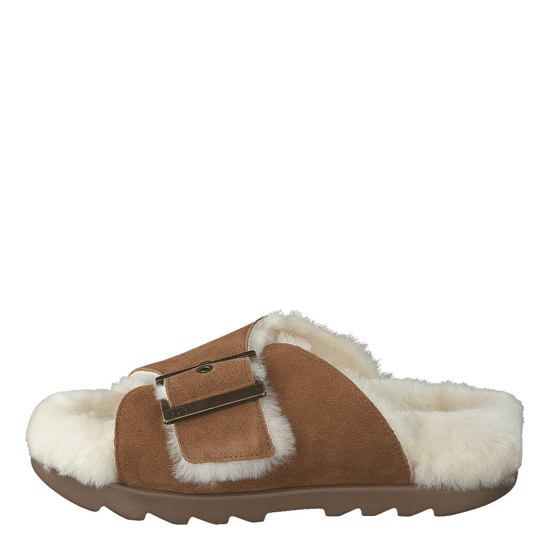 W Outslide Buckle Chestnut Suede - Heppo.com