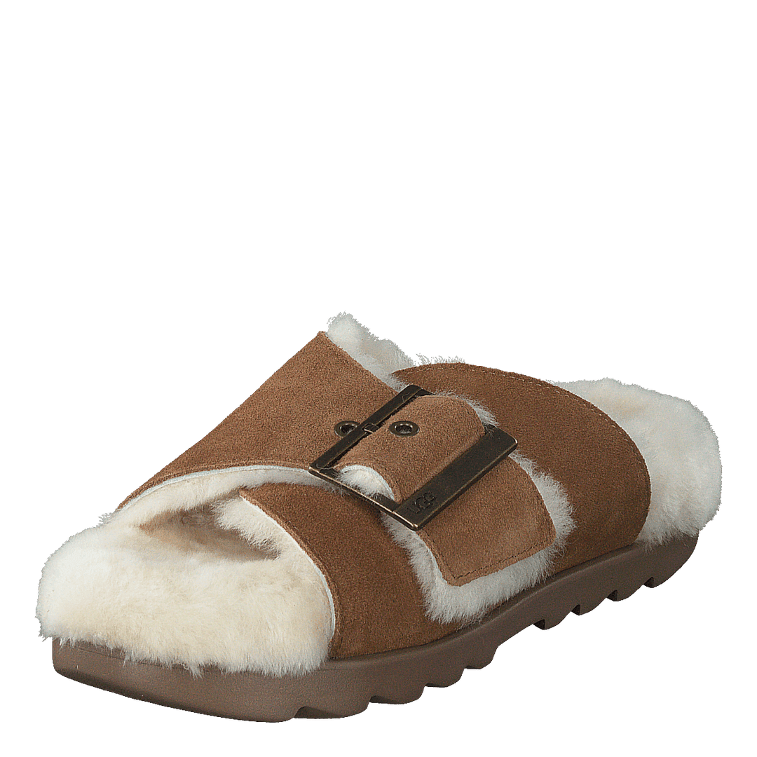 W Outslide Buckle Chestnut Suede - Heppo.com