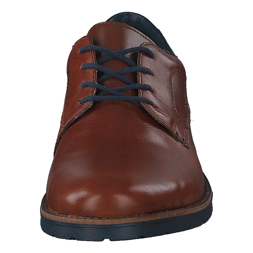 14602 Brown
