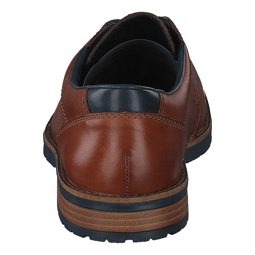 14602 Brown