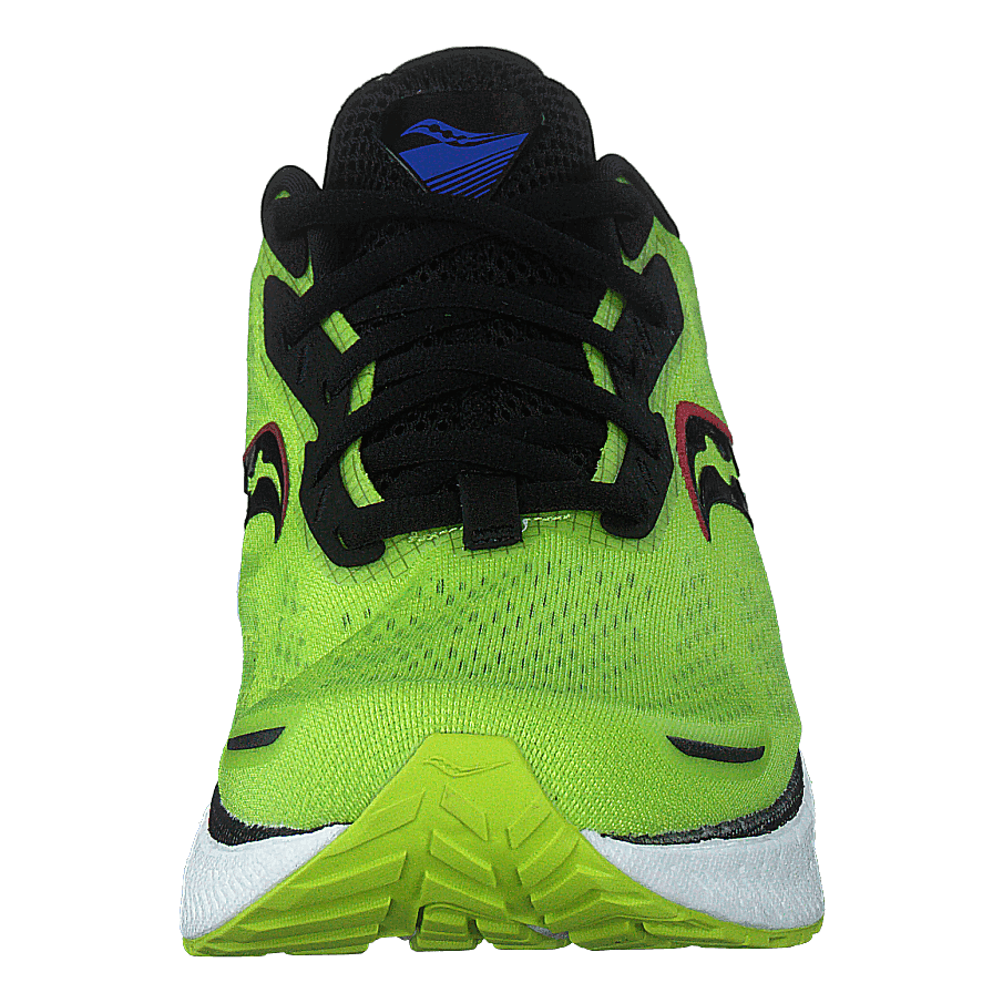 Triumph 19 Acid/blue Raz