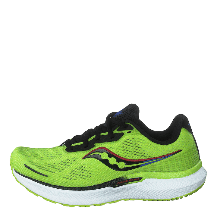 Triumph 19 Acid/blue Raz