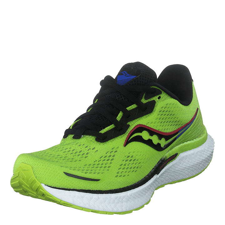 Triumph 19 Acid/blue Raz