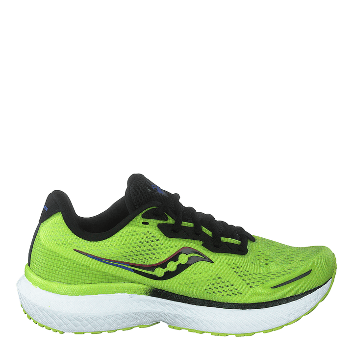 Triumph 19 Acid/blue Raz