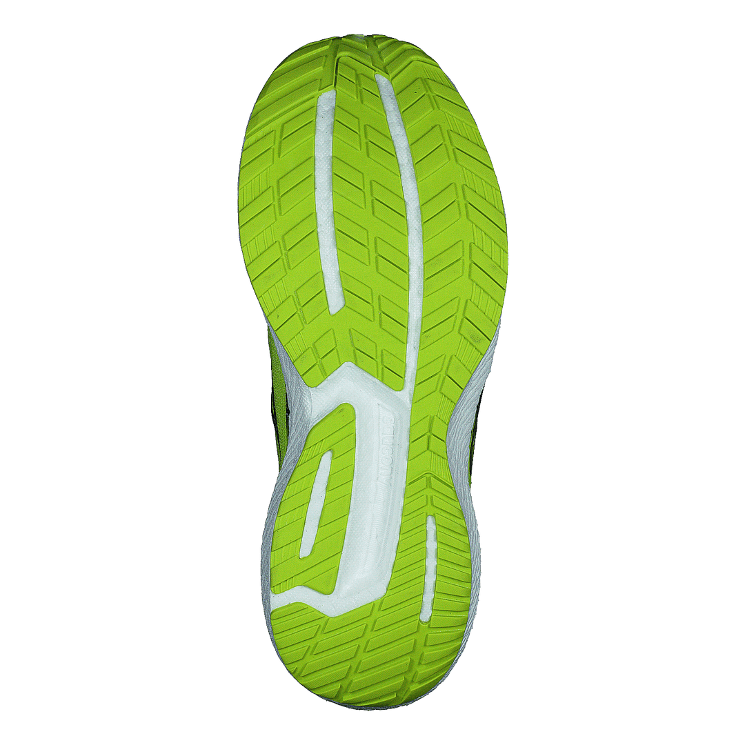 Triumph 19 Acid/blue Raz