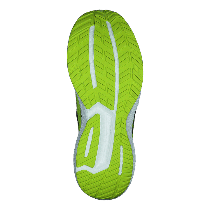 Triumph 19 Acid/blue Raz