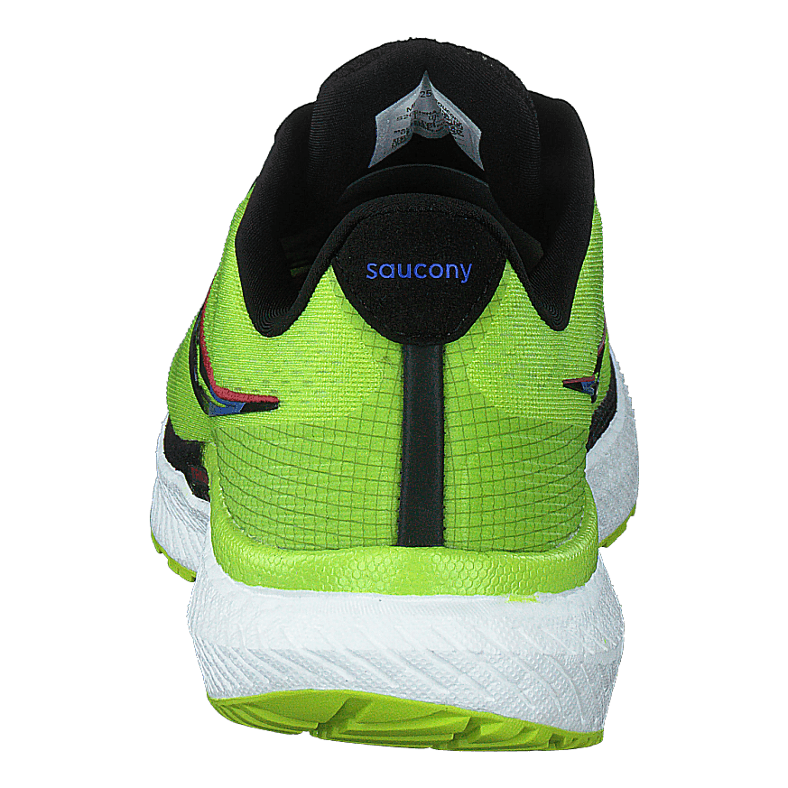 Triumph 19 Acid/blue Raz