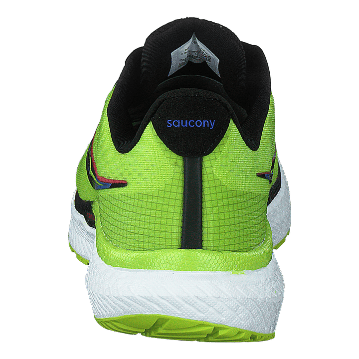 Triumph 19 Acid/blue Raz