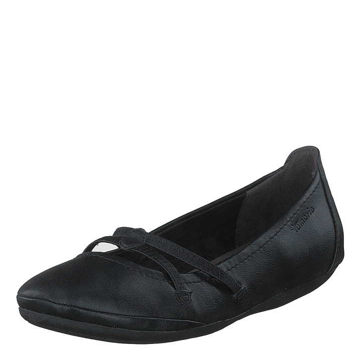 22110 Black