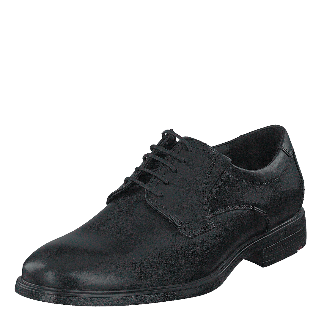 Kentucky Black