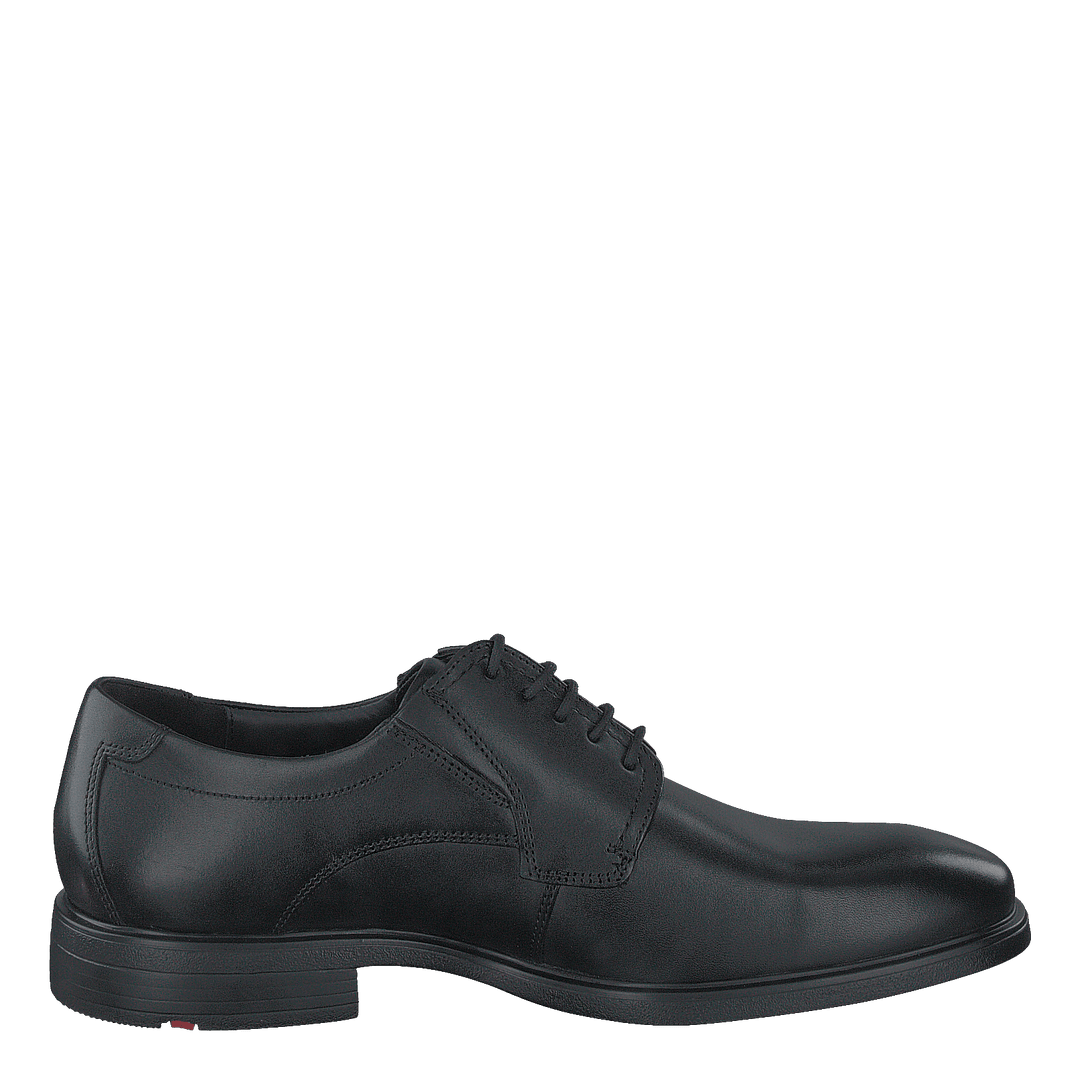 Kentucky Black