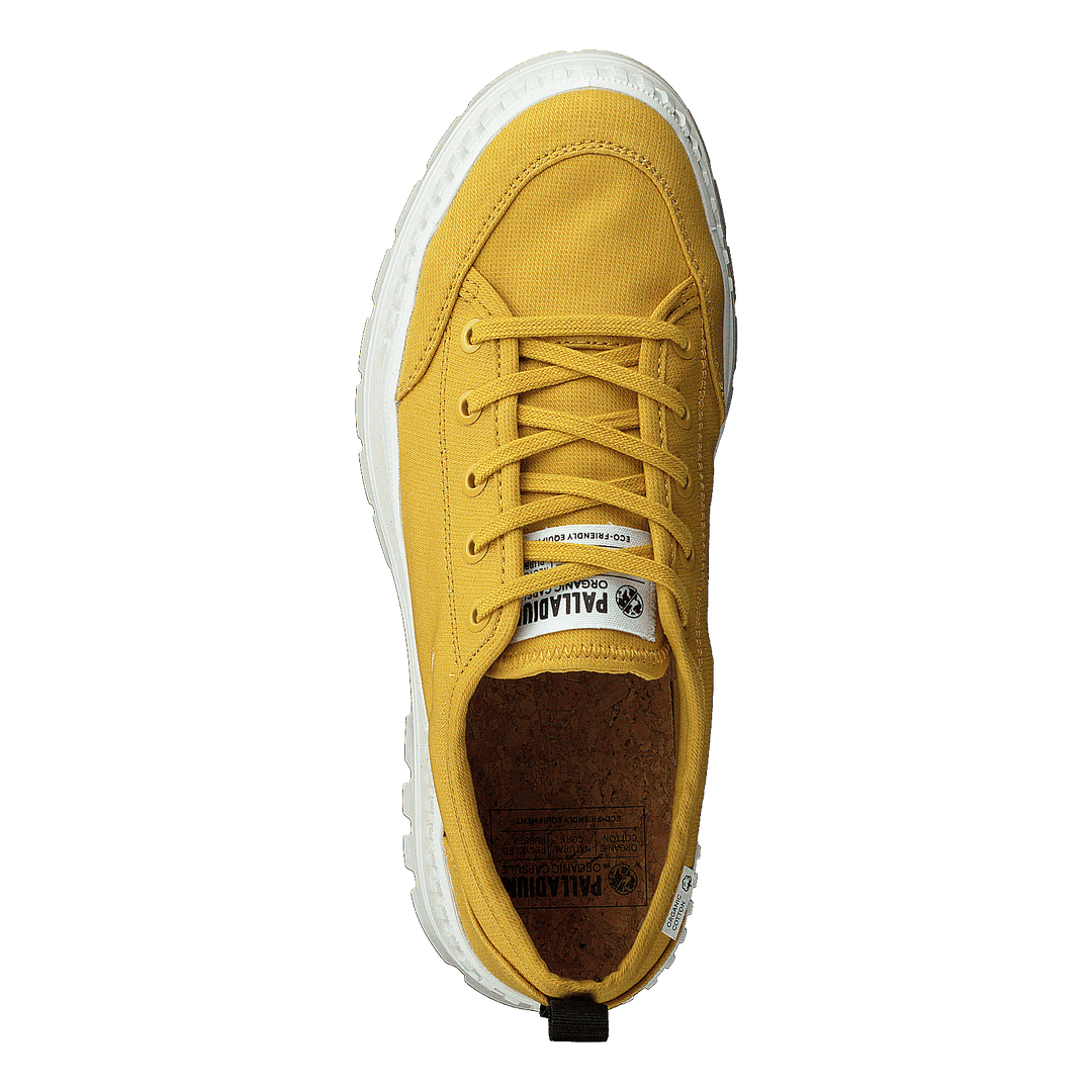 Pallashock Lo Org 2 Spicy Mustard